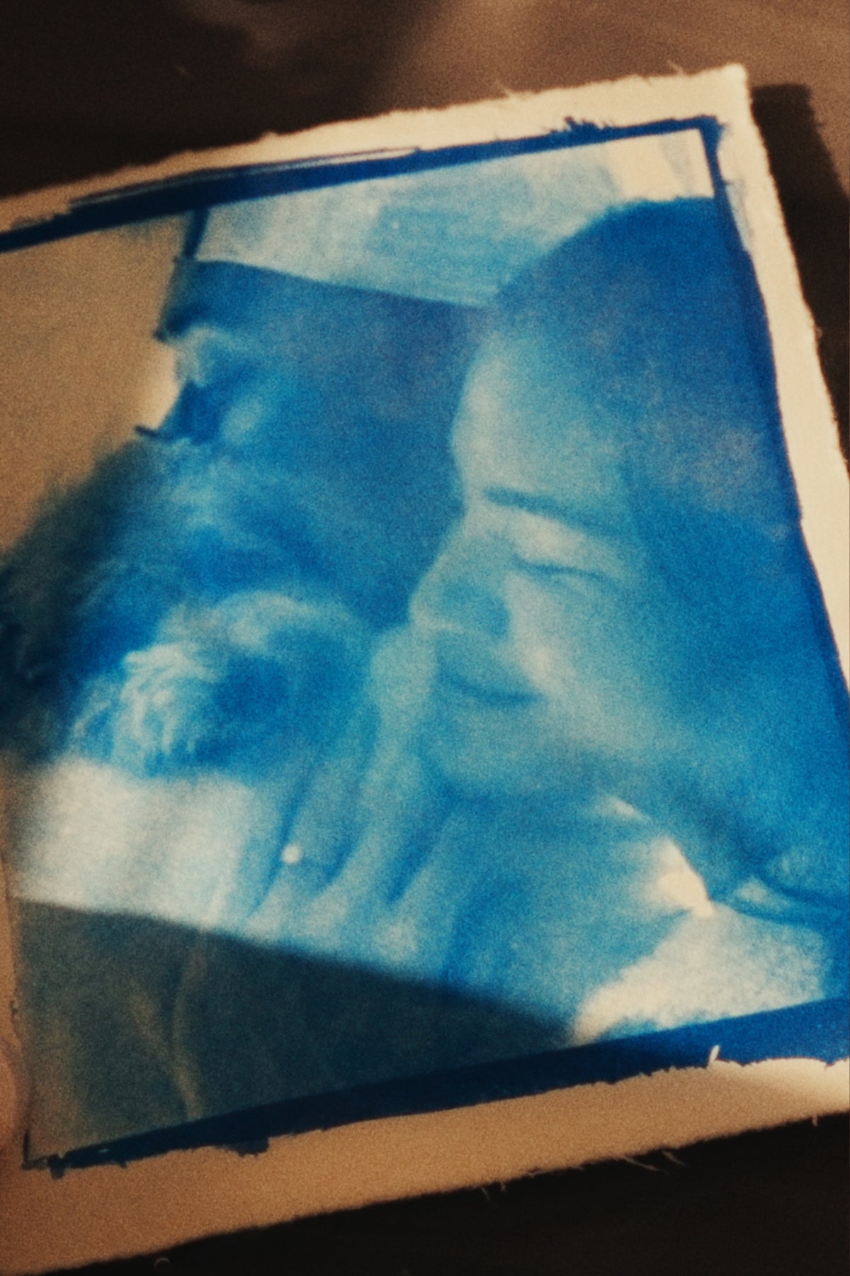 Cyanotype Print
