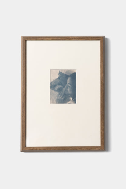 Cyanotype Print