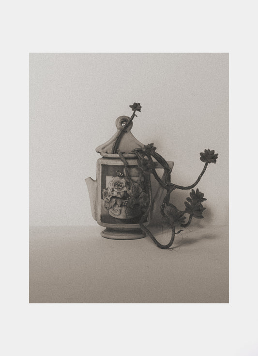 faded 001