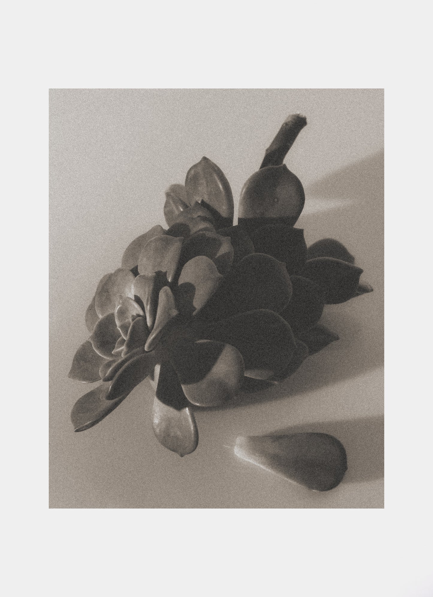 faded 003